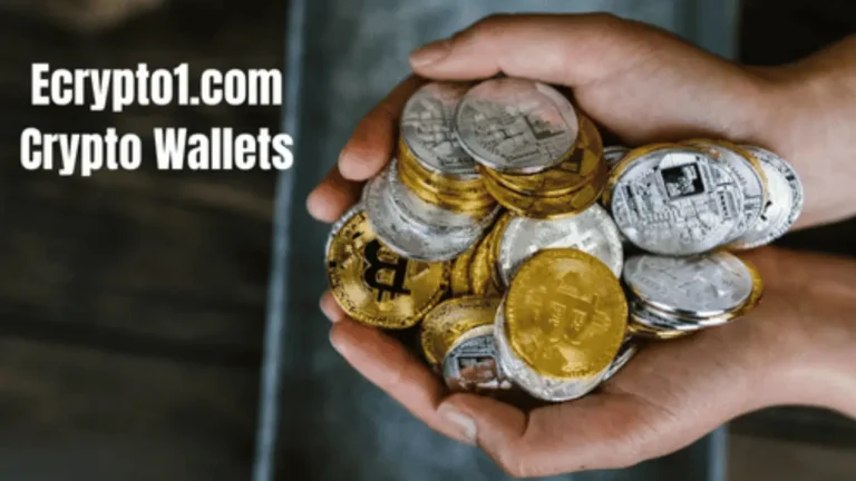 ecrypto1.com Crypto Wallets
