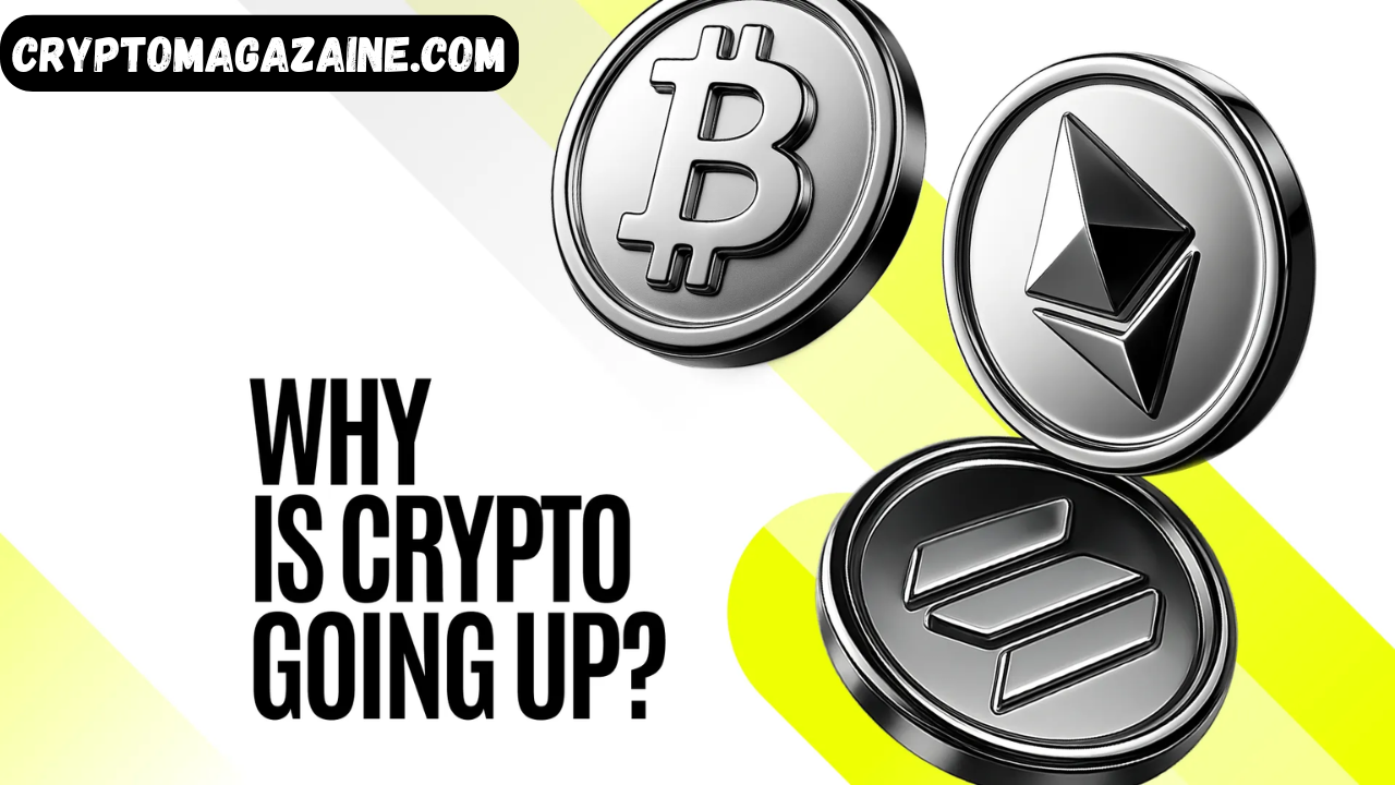 Why Is Crypto Up Today